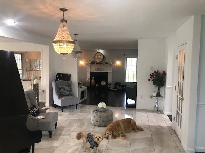 Carters ladder llc gallery image 3