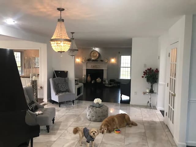 White Chooz Painters logo with blue background placeholder for paintig company logos