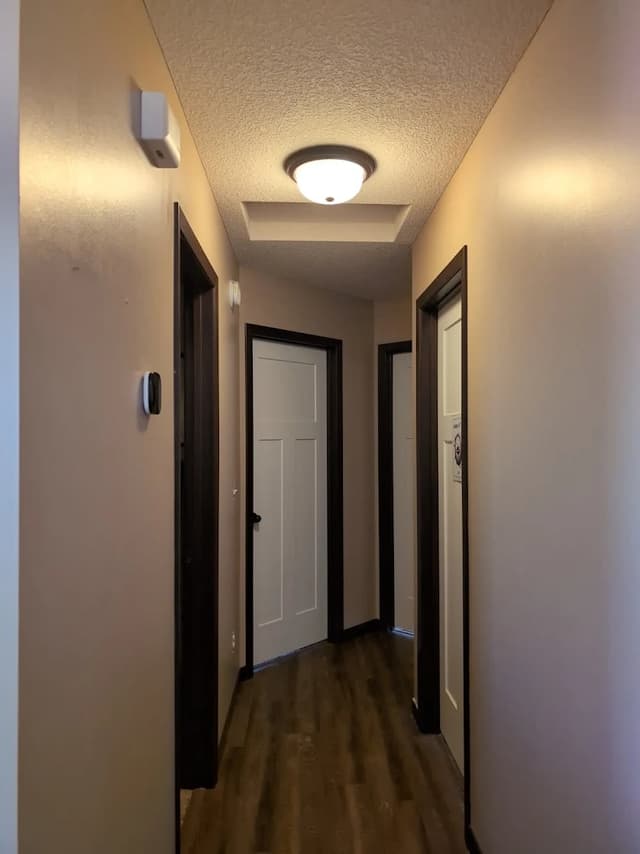 White Chooz Painters logo with blue background placeholder for paintig company logos