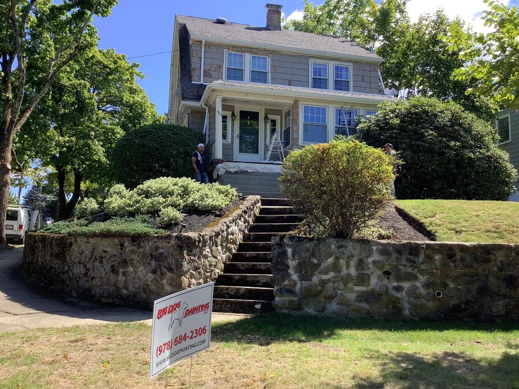 Big Dog Painting - Woburn Painters gallery image 3