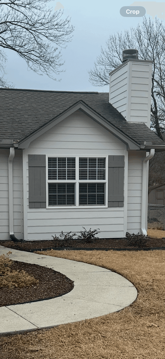 Blue Jay Painting gallery image 3