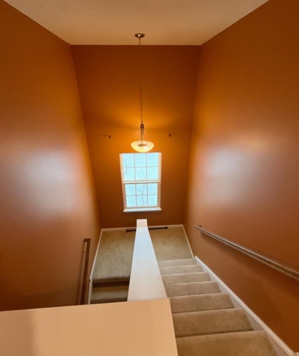 Clean & Coat Painting gallery image 4