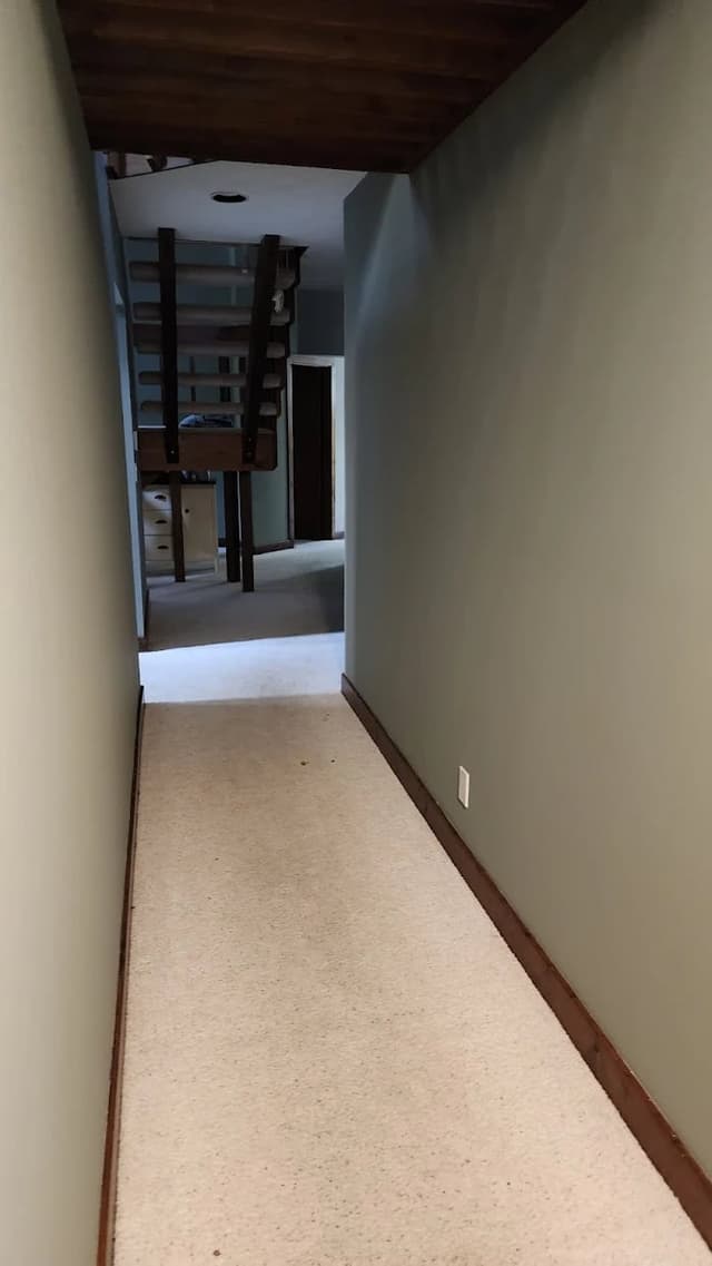 White Chooz Painters logo with blue background placeholder for paintig company logos