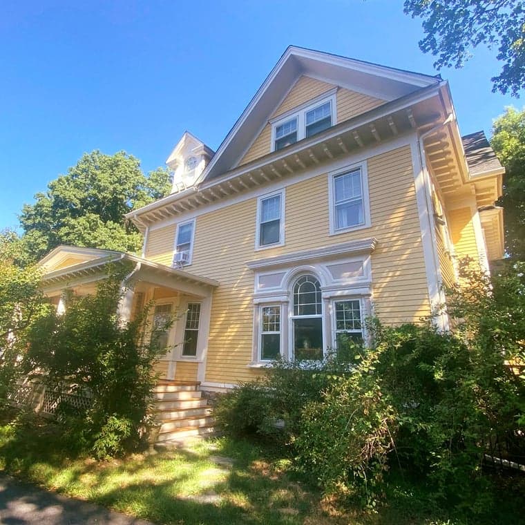 Wilber's Painting gallery image 1