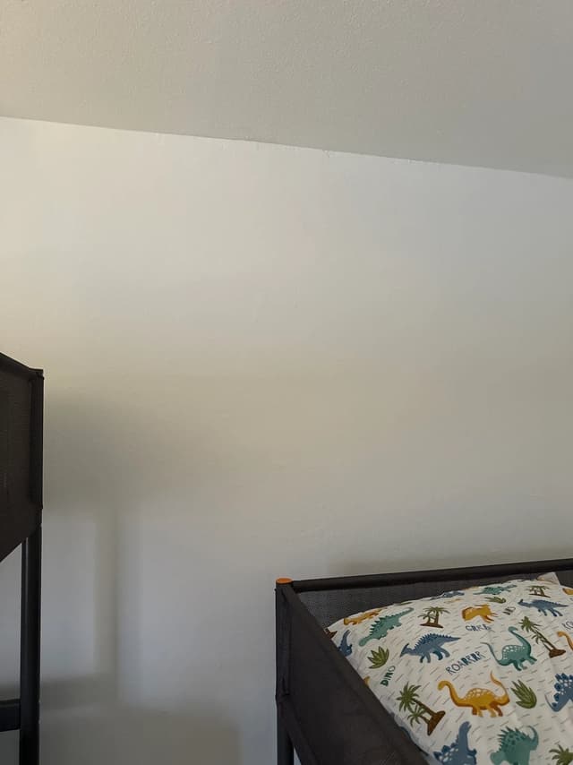 White Chooz Painters logo with blue background placeholder for paintig company logos