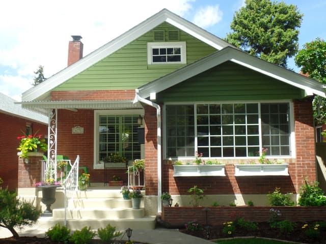 Pro Classic Painting gallery image