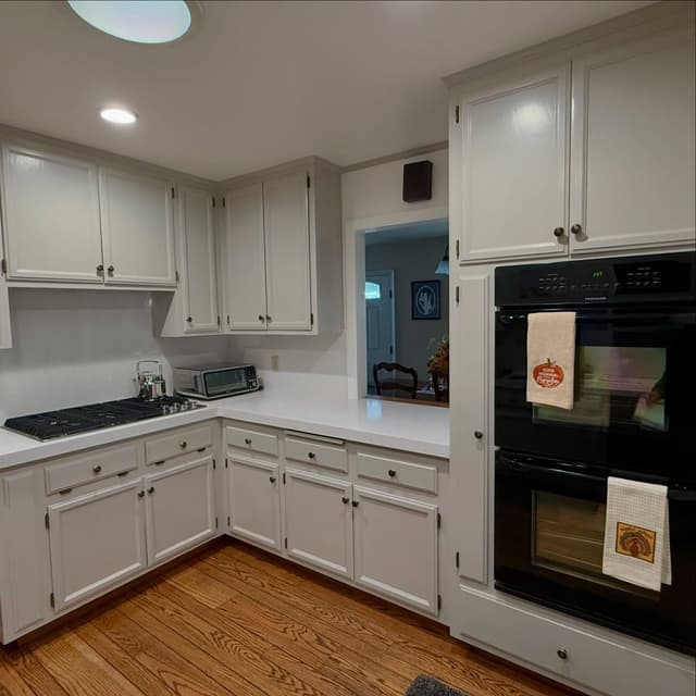 White Chooz Painters logo with blue background placeholder for paintig company logos