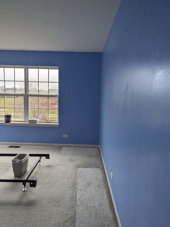 ProLine Painting gallery image 4